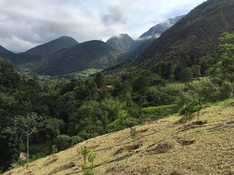 Pousada Quinta Das Nascentes Petrópolis Dış mekan fotoğraf