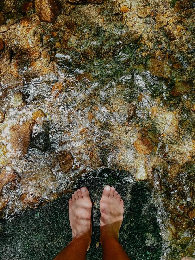 Pousada Quinta Das Nascentes Petrópolis Dış mekan fotoğraf